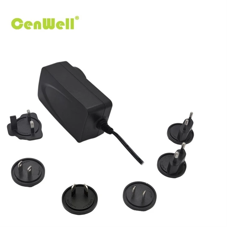 48W Interchangeable Power Adapter 007